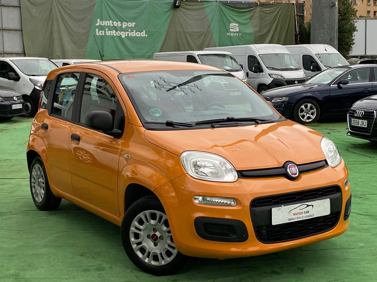 fiat panda 2017 / foto grande (3)