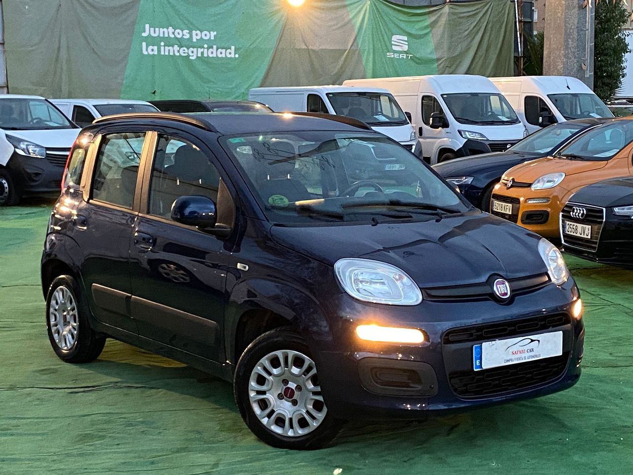 fiat panda 2017 / foto grande (3)
