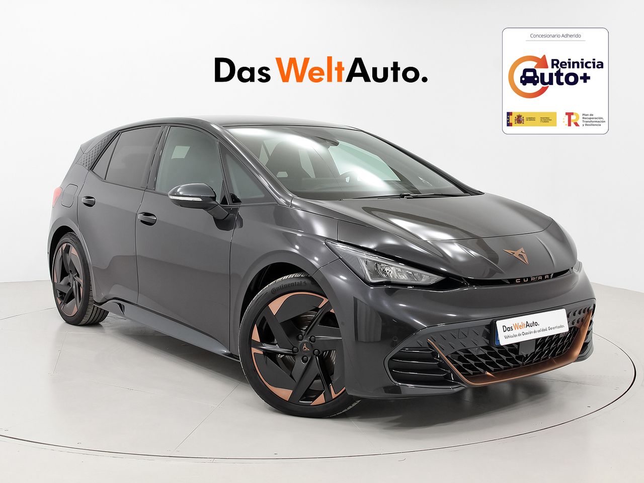 cupra born 2023 /