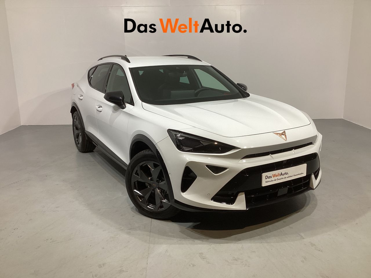 cupra formentor 2025 /