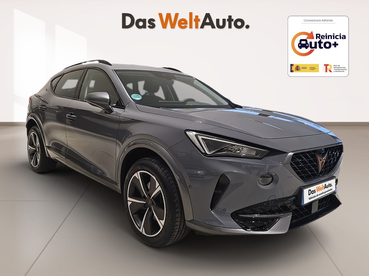 cupra formentor 2023 /