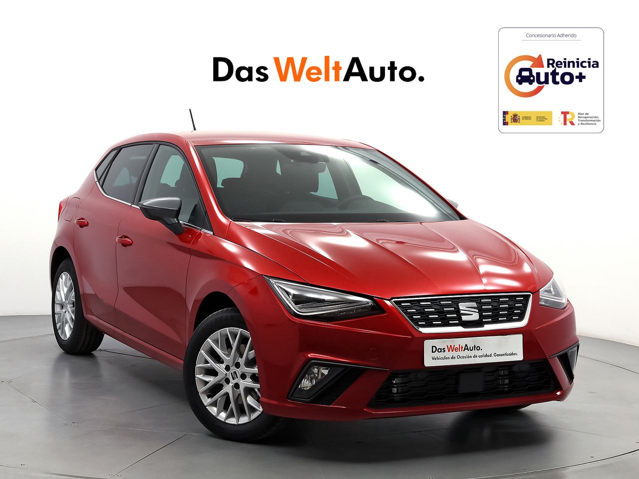 seat ibiza 2025 /