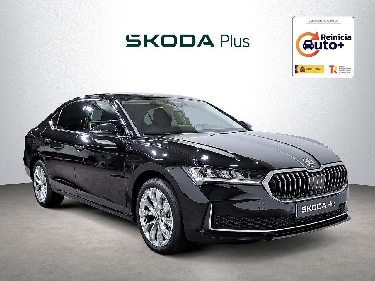 skoda superb 2024 /