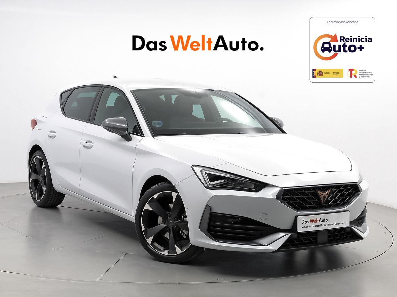 Amasadora vacio  de segunda mano - cupra león 2024 /