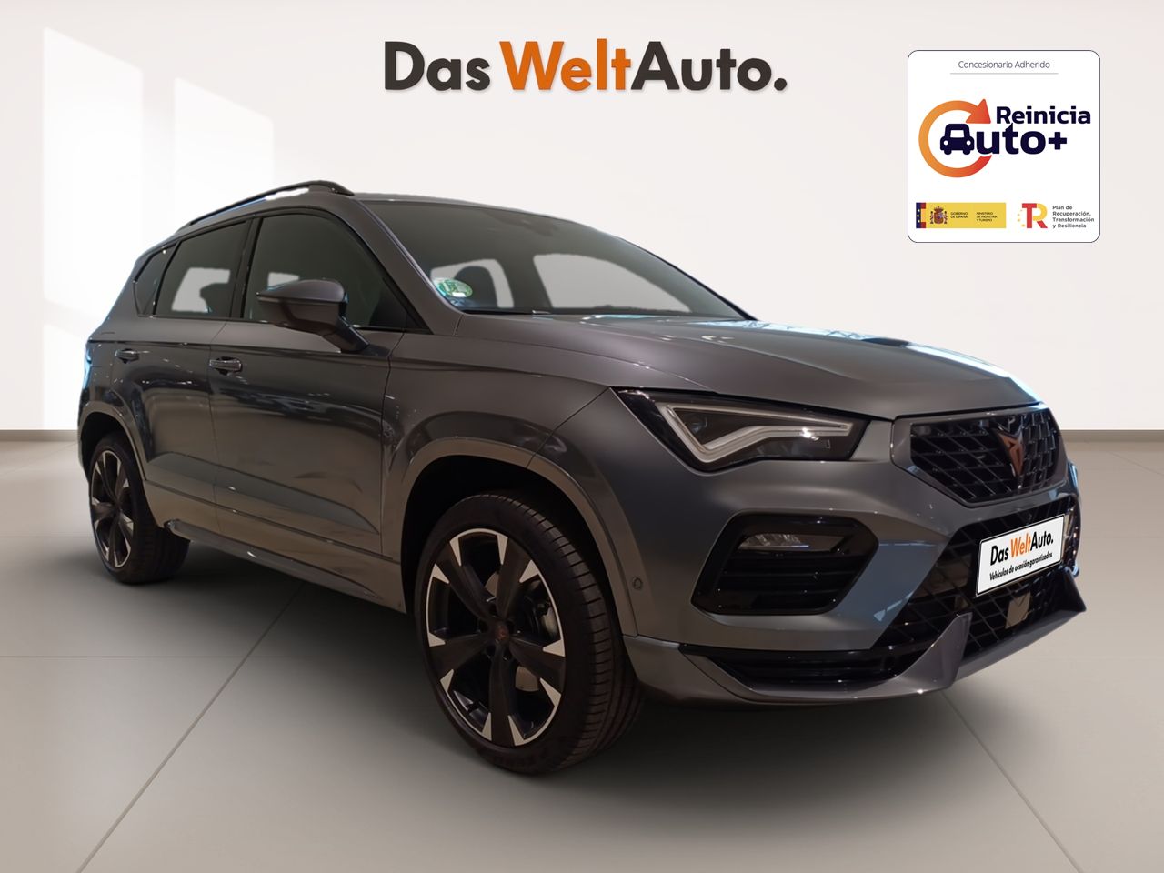 cupra ateca 2024 /