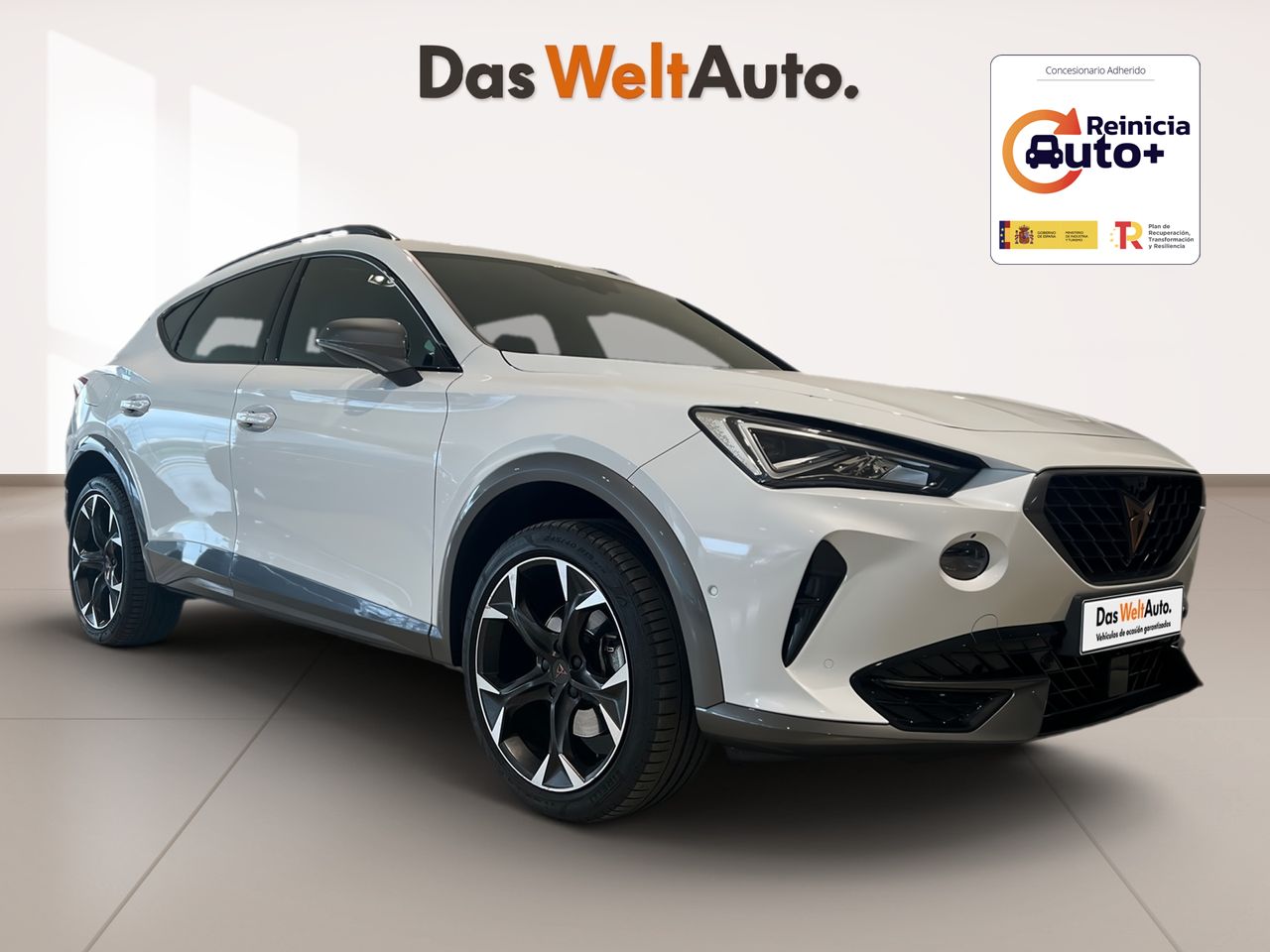 cupra formentor 2023 /