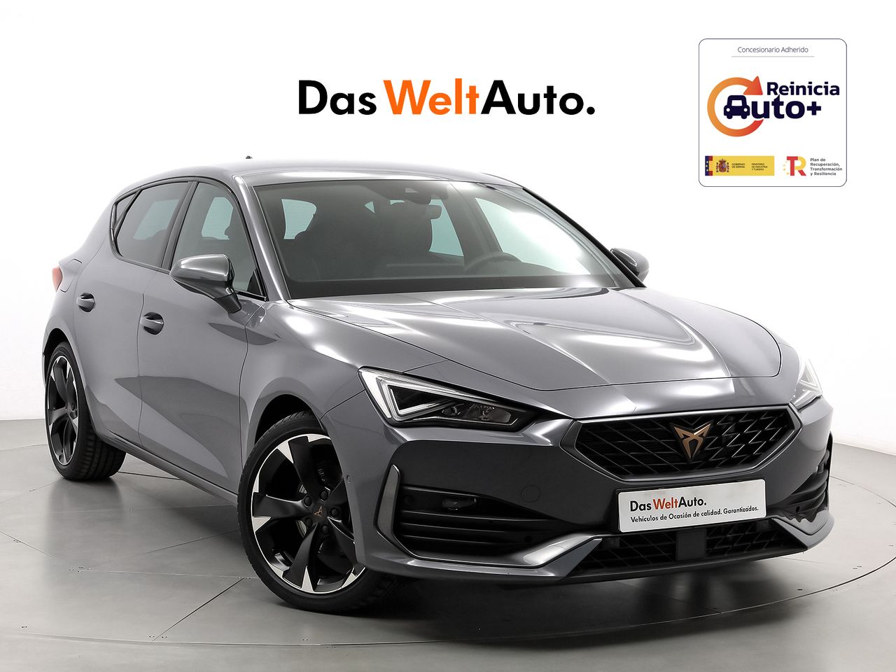 Foto cupra león 2024 /
