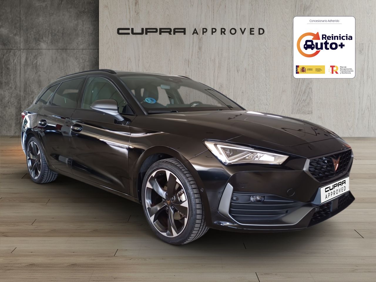 Foto cupra león 2024 /