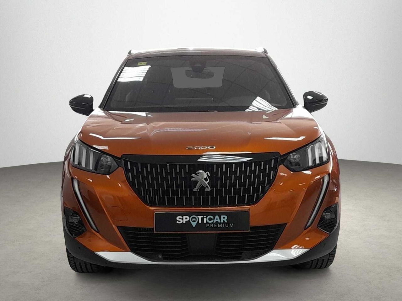 peugeot 2008 2020 / foto grande (2)