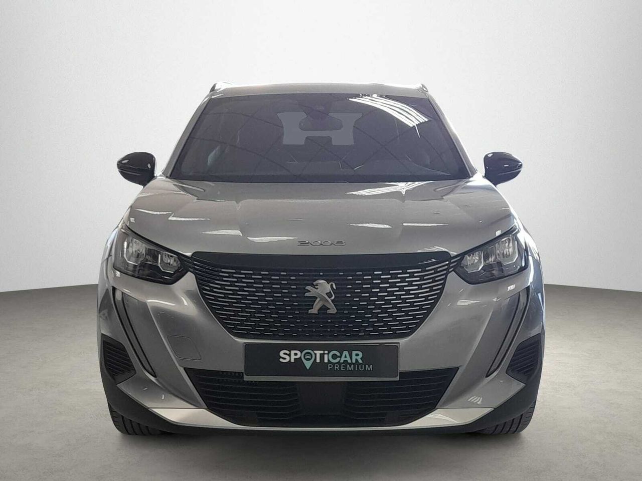 peugeot 2008 2023 / foto grande (2)