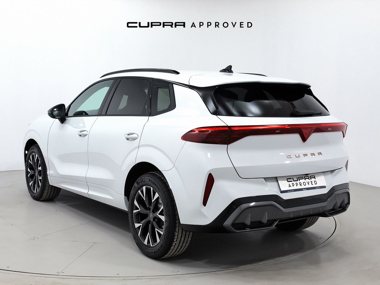 cupra terramar 2024 / foto grande (2)