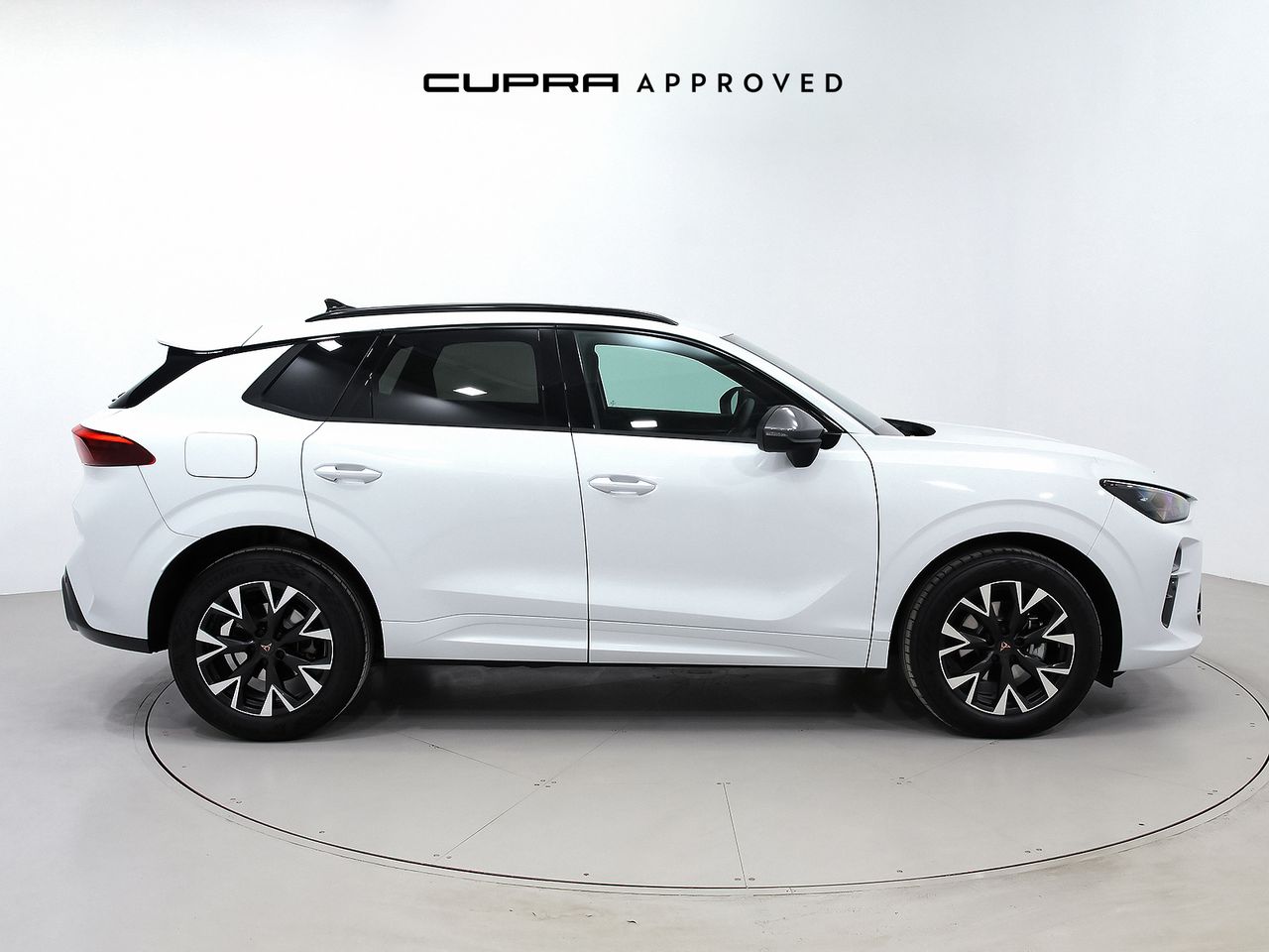 cupra terramar 2024 / foto grande (3)
