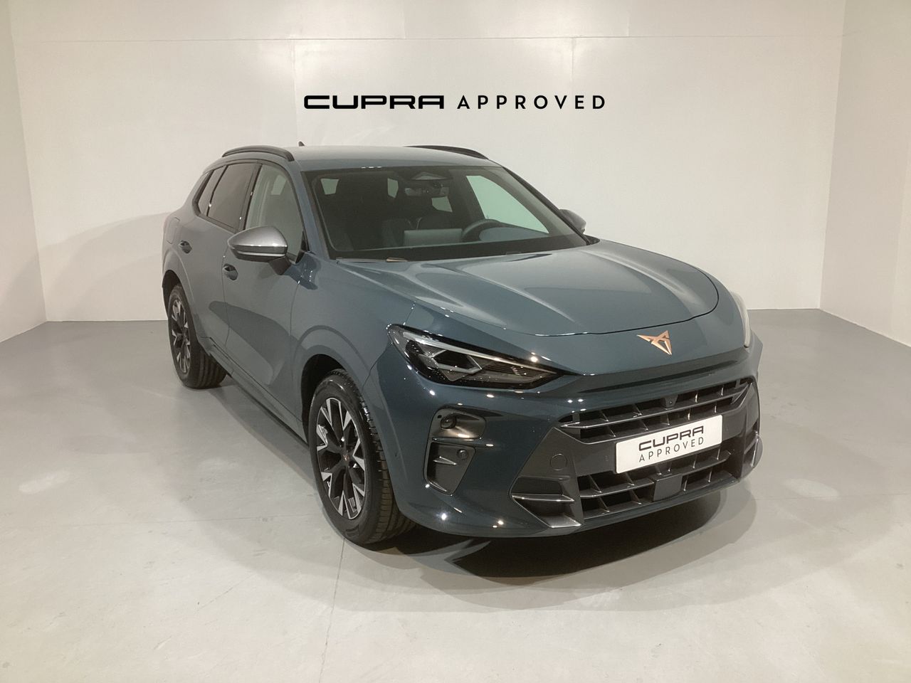 cupra terramar 1.5 e-hybrid dsg