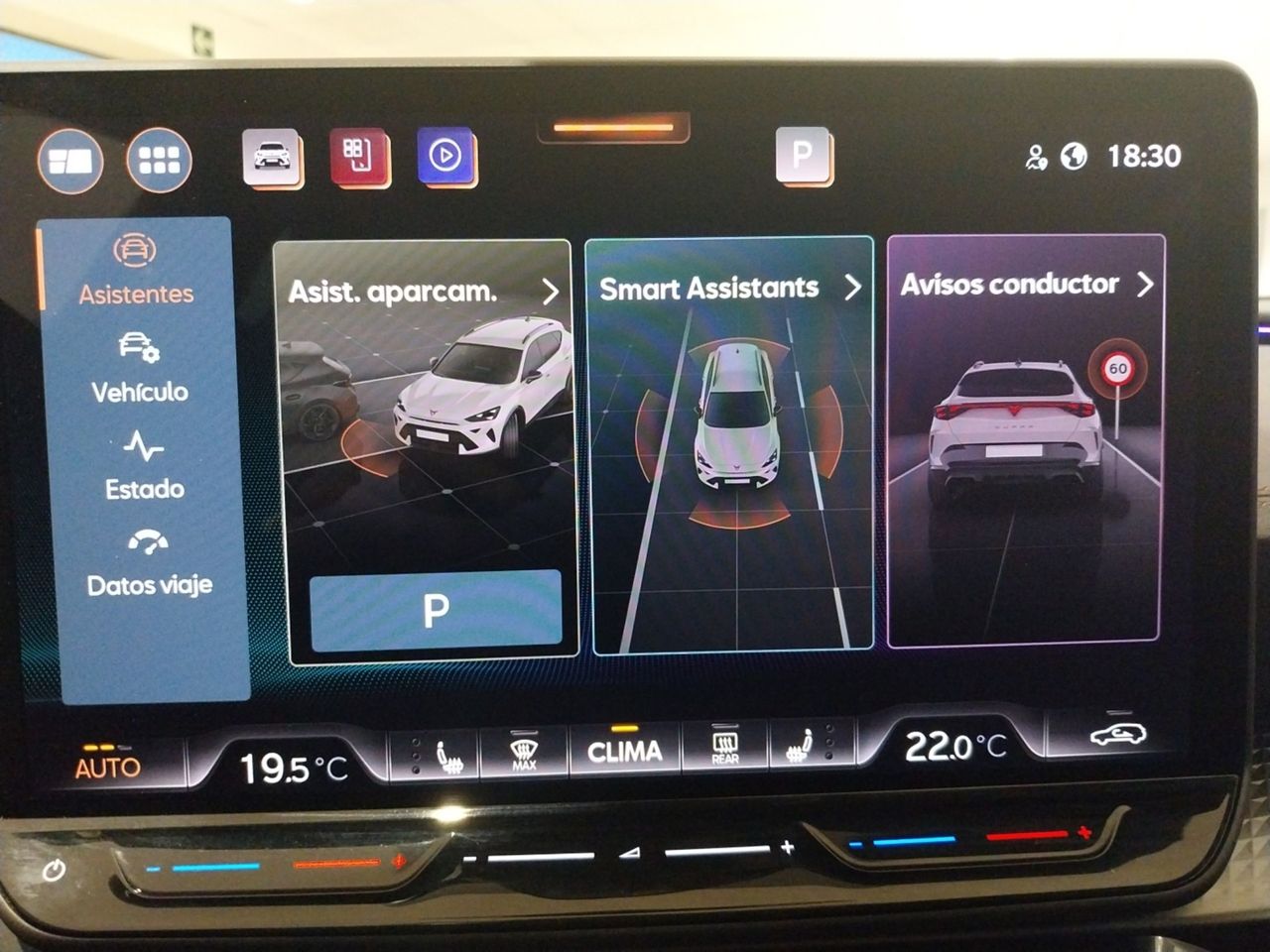 Cupra Formentor 1.5 eTSI 110kW (150 CV) DSG - foto 14