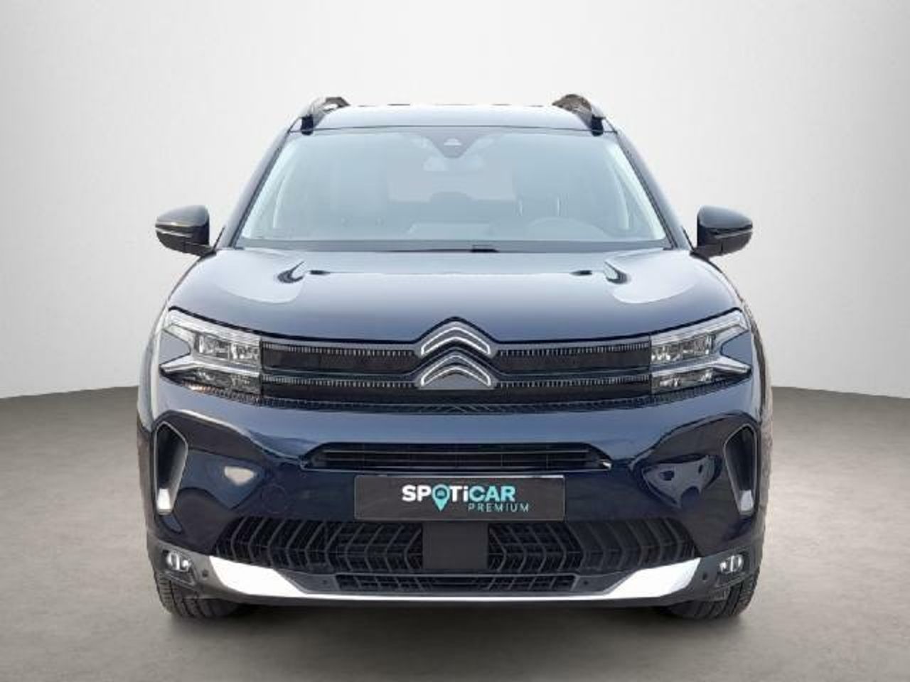 citroën c5 aircross 2022 / foto grande (2)