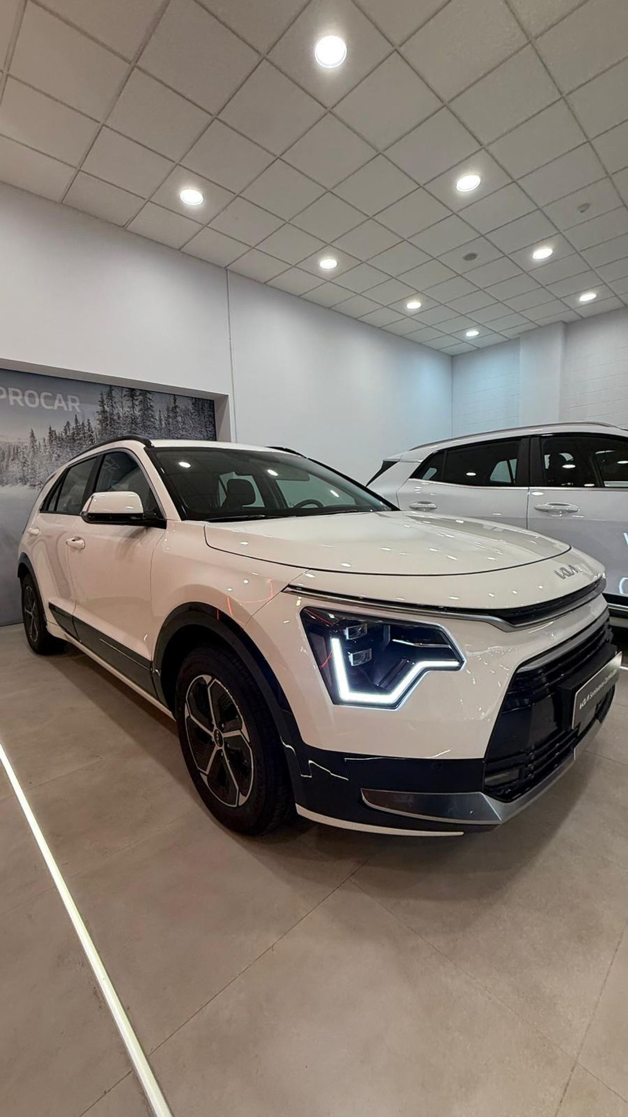 Kia Niro 1.6 GDi PHEV 126kW (171CV) Drive