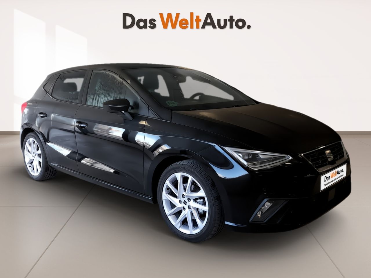 Foto seat ibiza 2024 /
