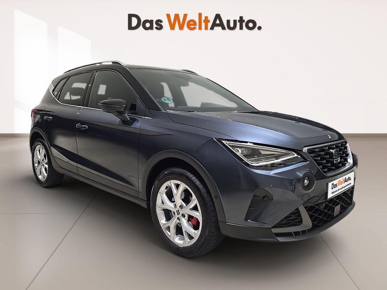 Foto seat arona 2024 /