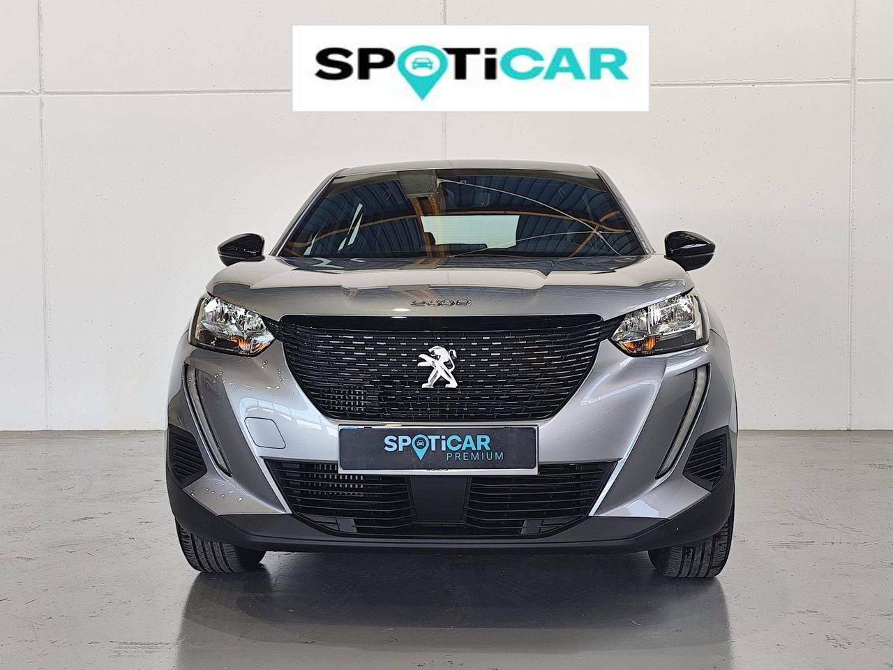 peugeot 2008 2023 / foto grande (2)