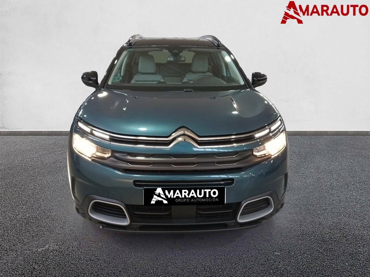 citroën c5 aircross 2019 / foto grande (2)