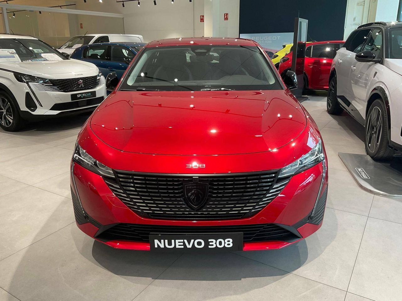 peugeot 308 2024 / foto grande (2)