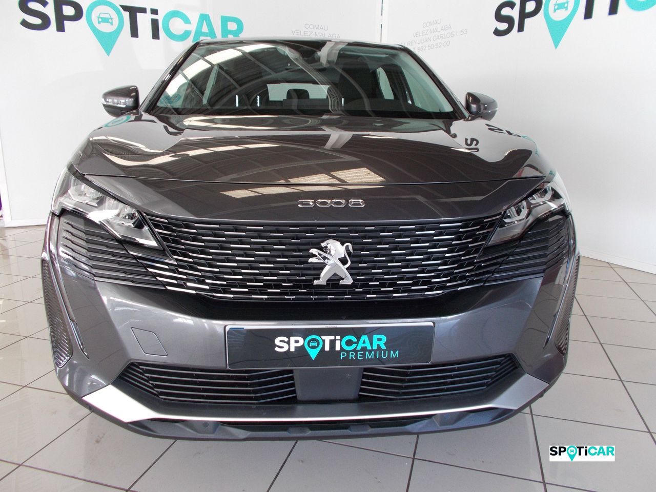 peugeot 3008 2021 / foto grande (2)