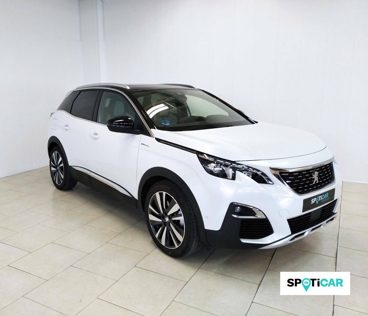 peugeot 3008 2019 / foto grande (3)