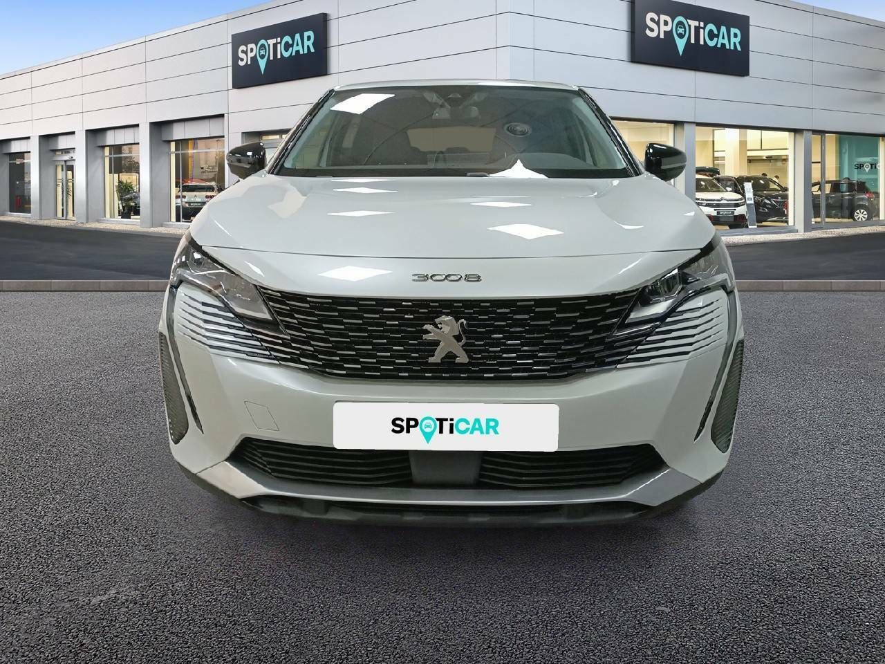 peugeot 3008 2022 / foto grande (2)