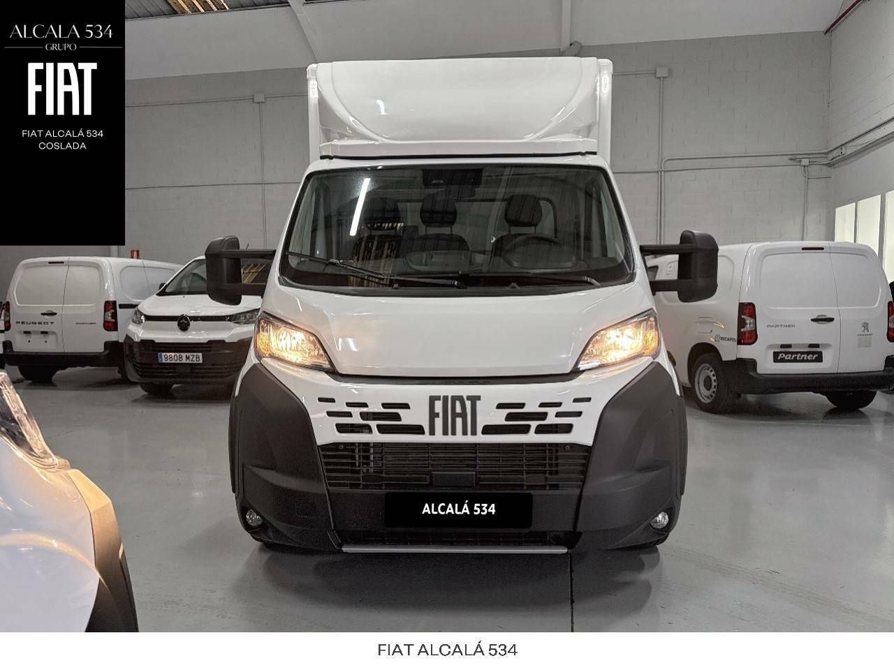 fiat 500 2024 / foto grande (2)