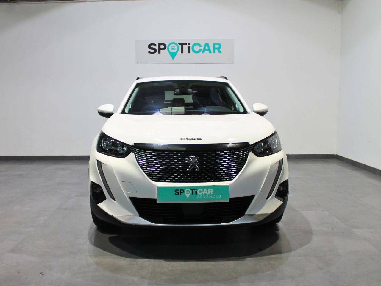 peugeot 2008 2020 / foto grande (2)