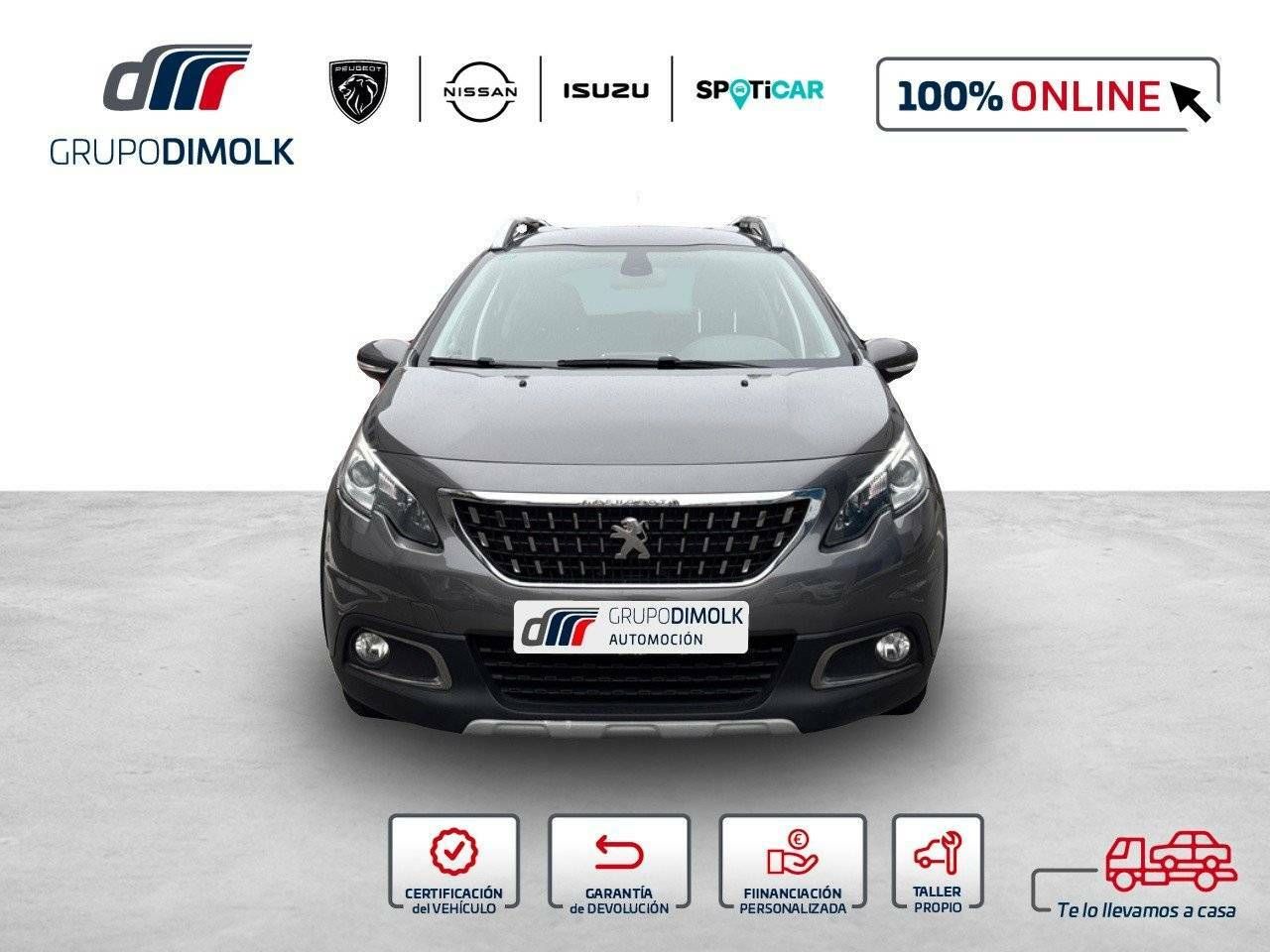 peugeot 2008 2019 / foto grande (2)