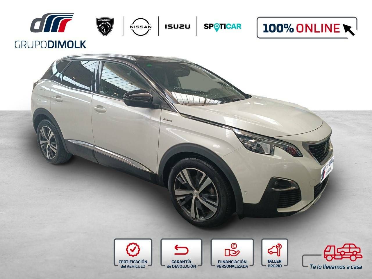 peugeot 3008 2019 / foto grande (3)