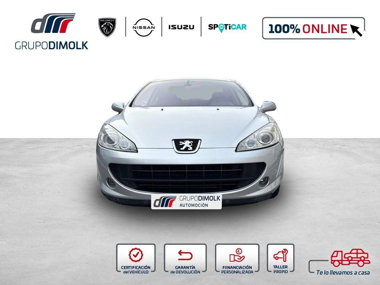 peugeot 407 2009 / foto grande (2)