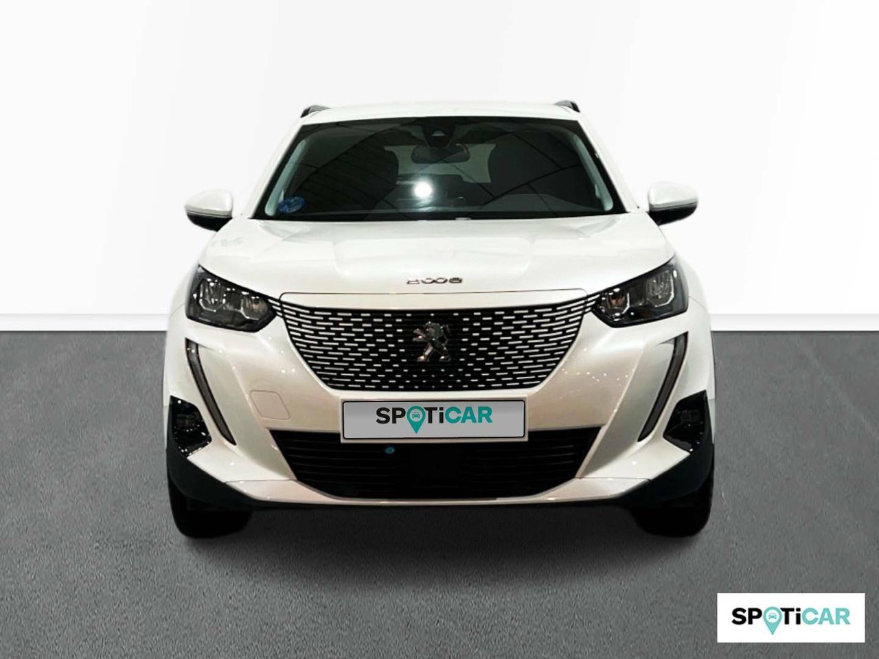 peugeot 2008 2020 / foto grande (2)