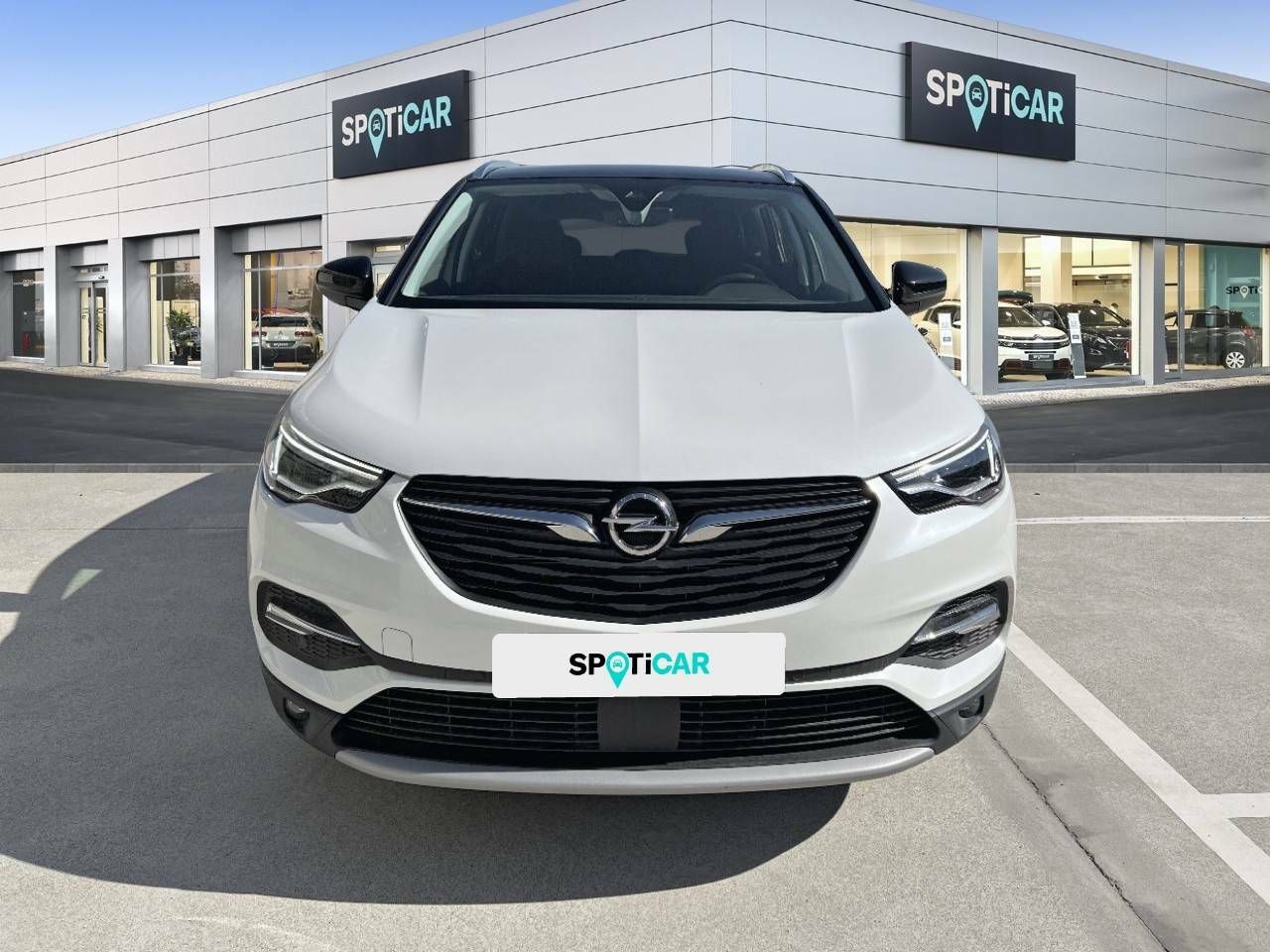 opel grandland x 2021 / foto grande (2)