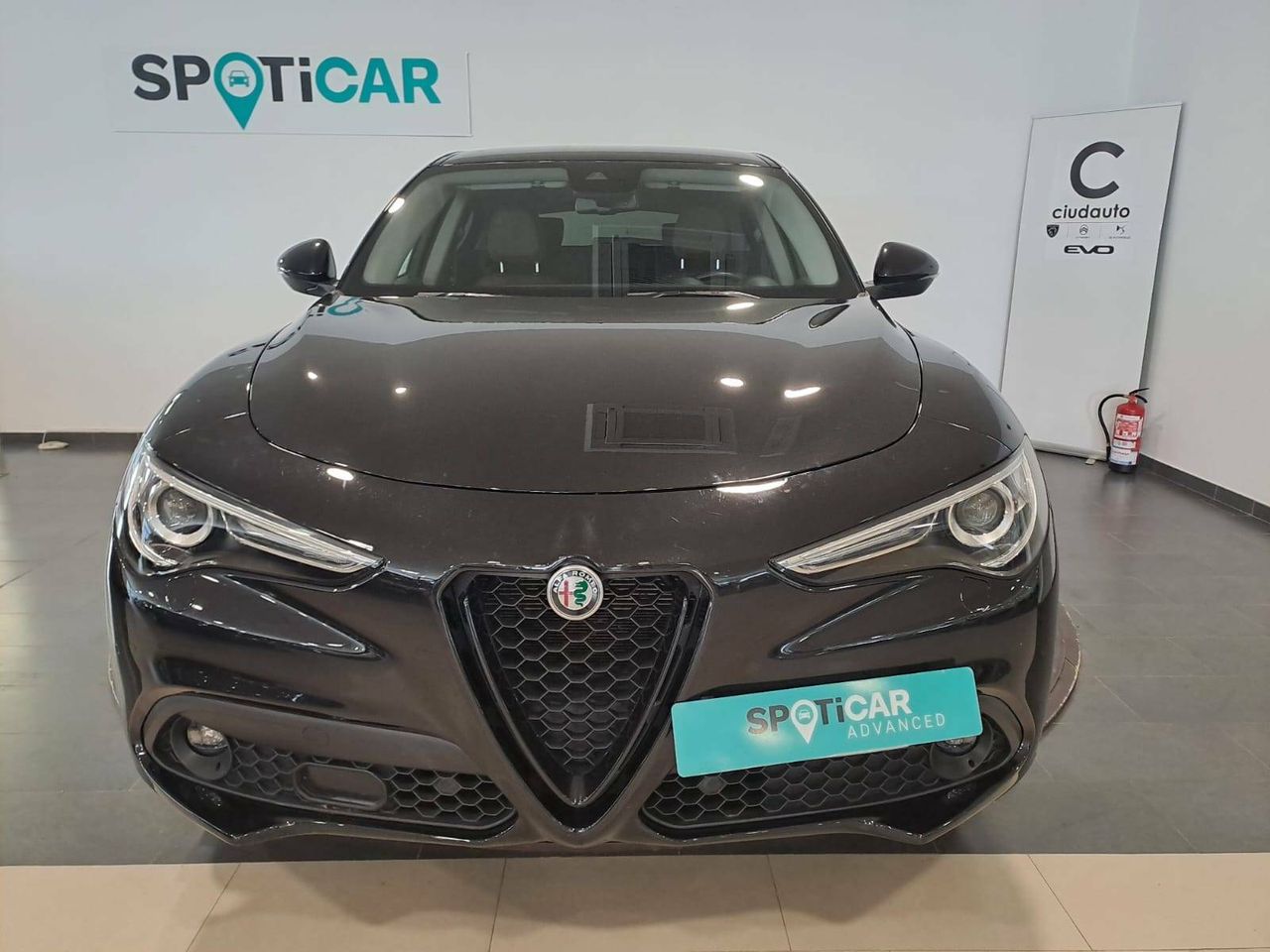 alfa romeo stelvio 2021 / foto grande (2)