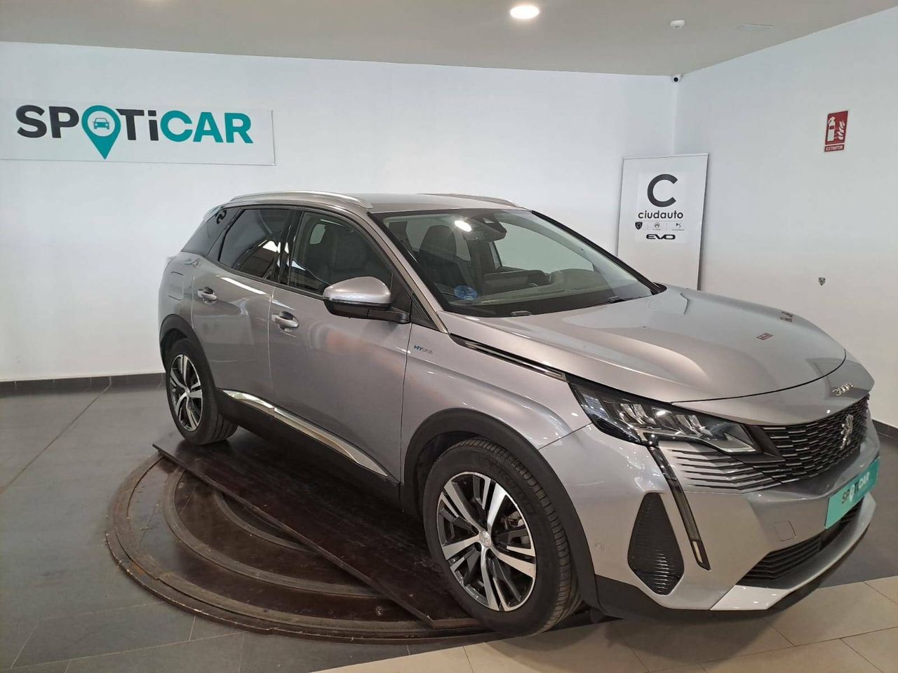 peugeot 3008 2021 / foto grande (3)