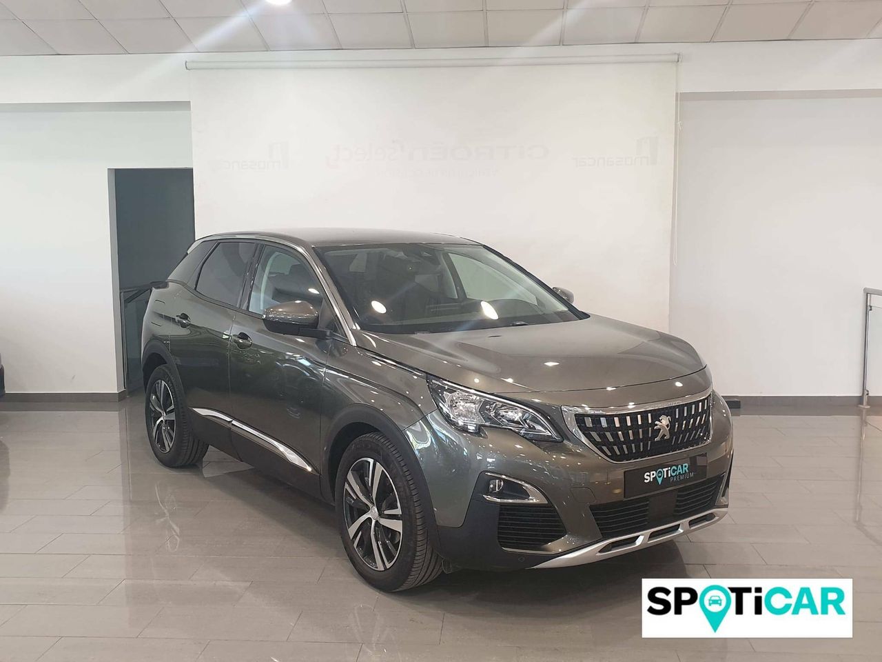 peugeot 3008 2019 / foto grande (3)