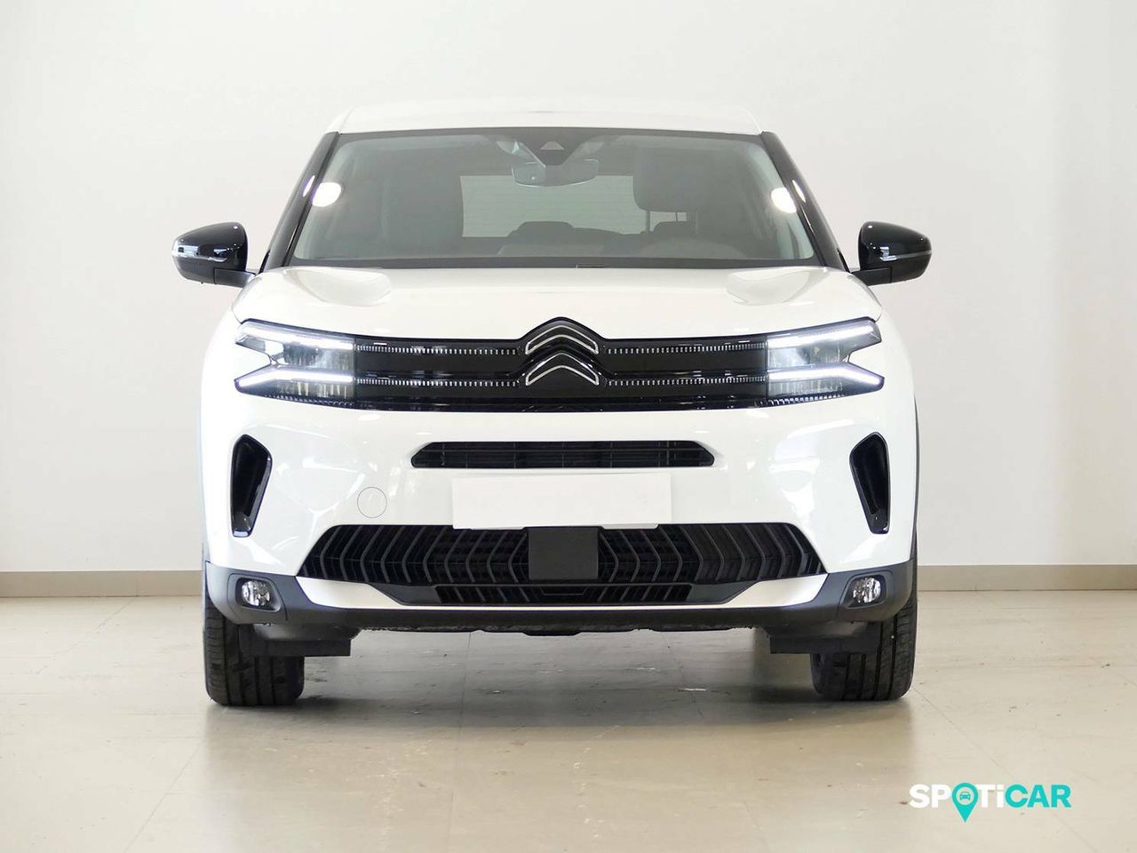 citroën c5 aircross 2022 / foto grande (3)