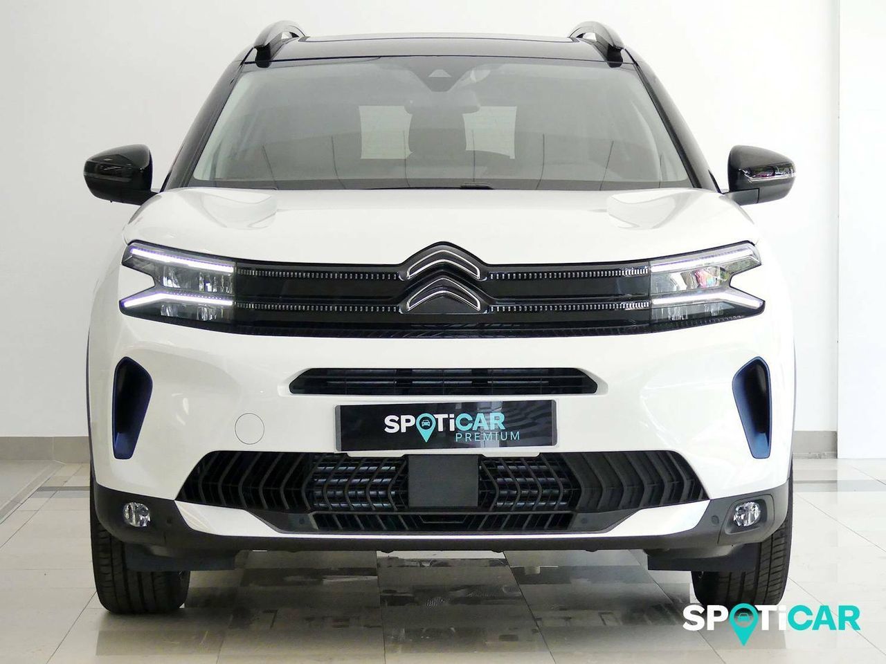citroën c5 aircross 2022 / foto grande (3)