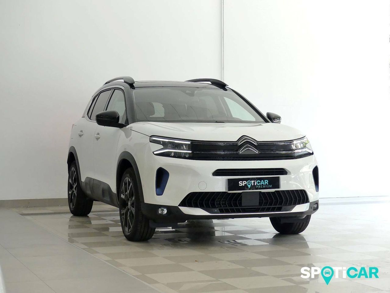 citroën c5 aircross 2022 / foto grande (2)