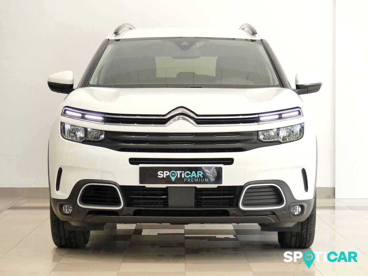 citroën c5 aircross 2019 / foto grande (2)