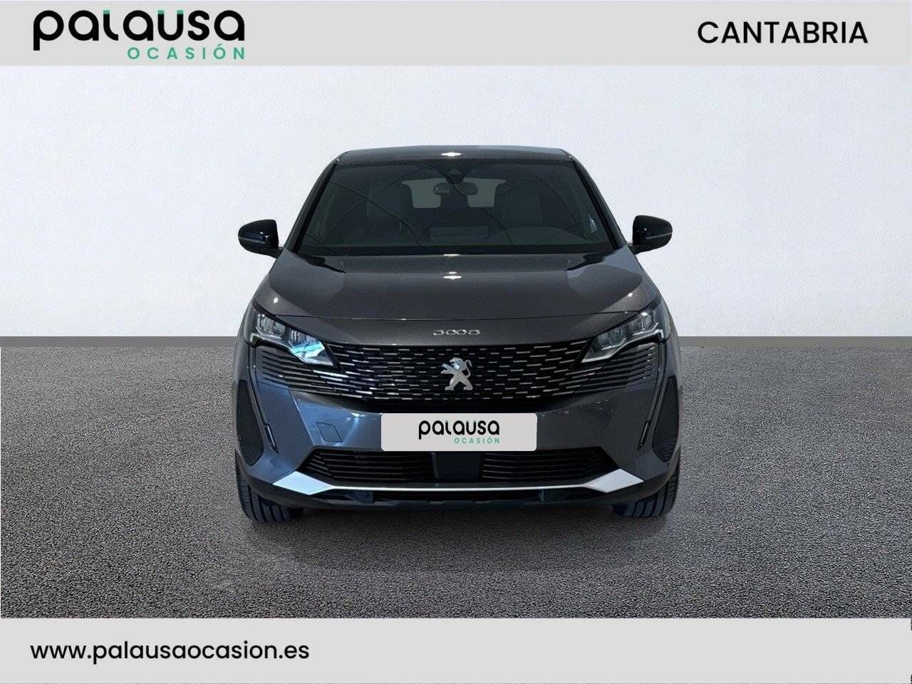 peugeot 3008 2023 / foto grande (2)