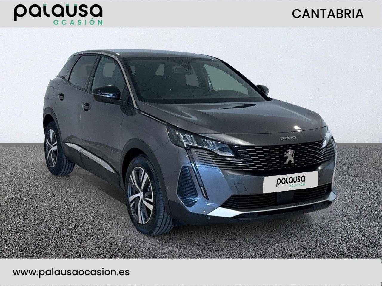 peugeot 3008 2023 / foto grande (3)