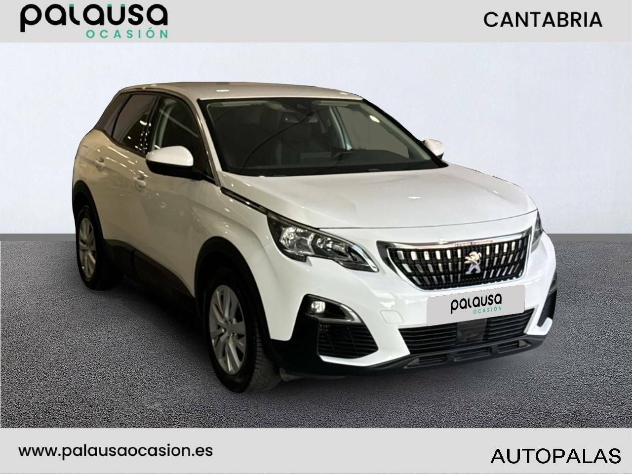peugeot 3008 2019 / foto grande (3)