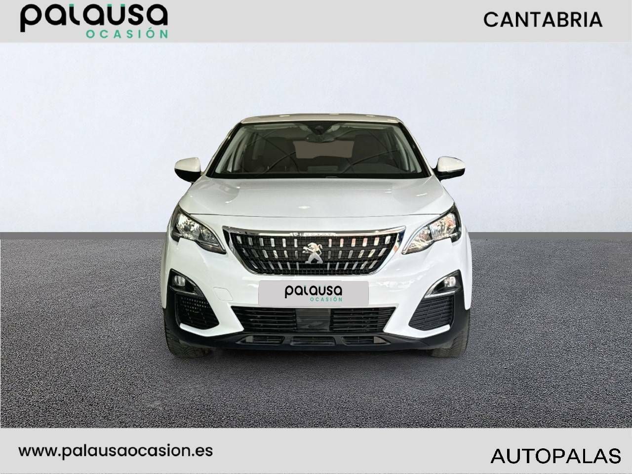 peugeot 3008 2019 / foto grande (2)