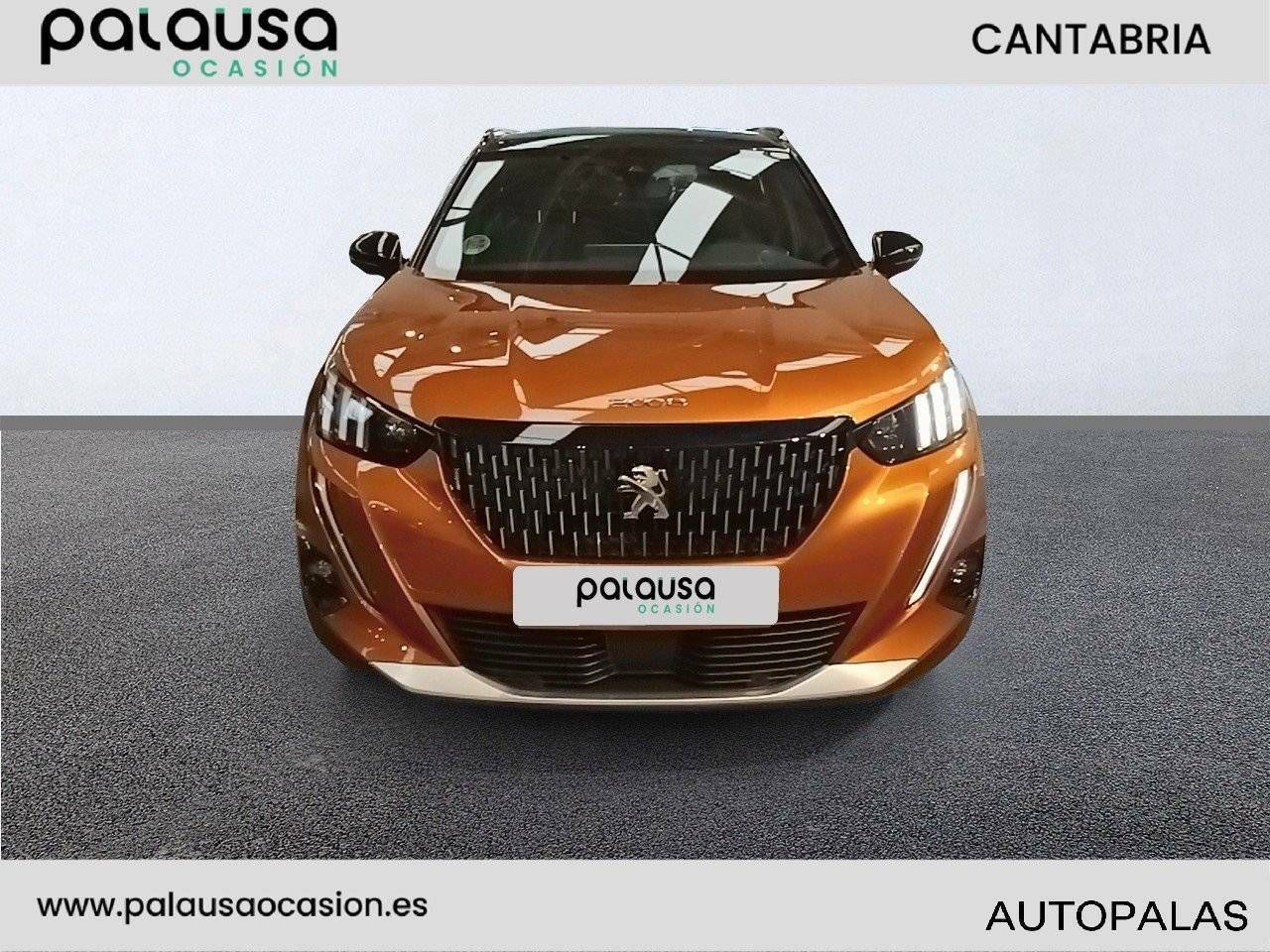 peugeot 2008 2021 / foto grande (2)