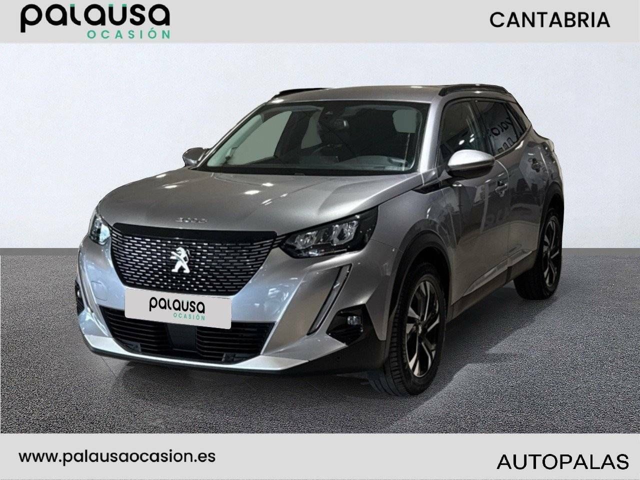 peugeot 2008 2020 /