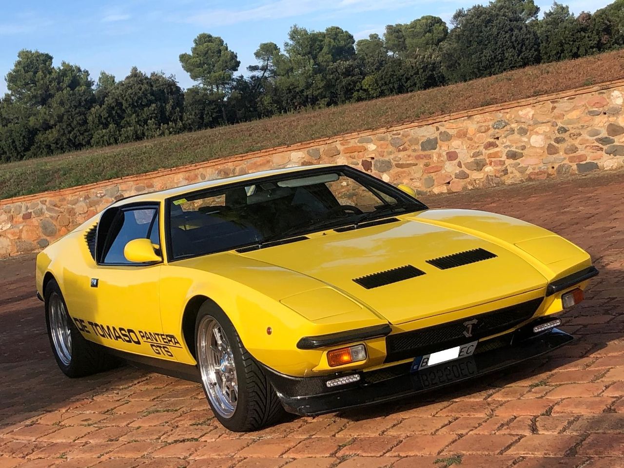 Brugt De Tomaso Pantera 