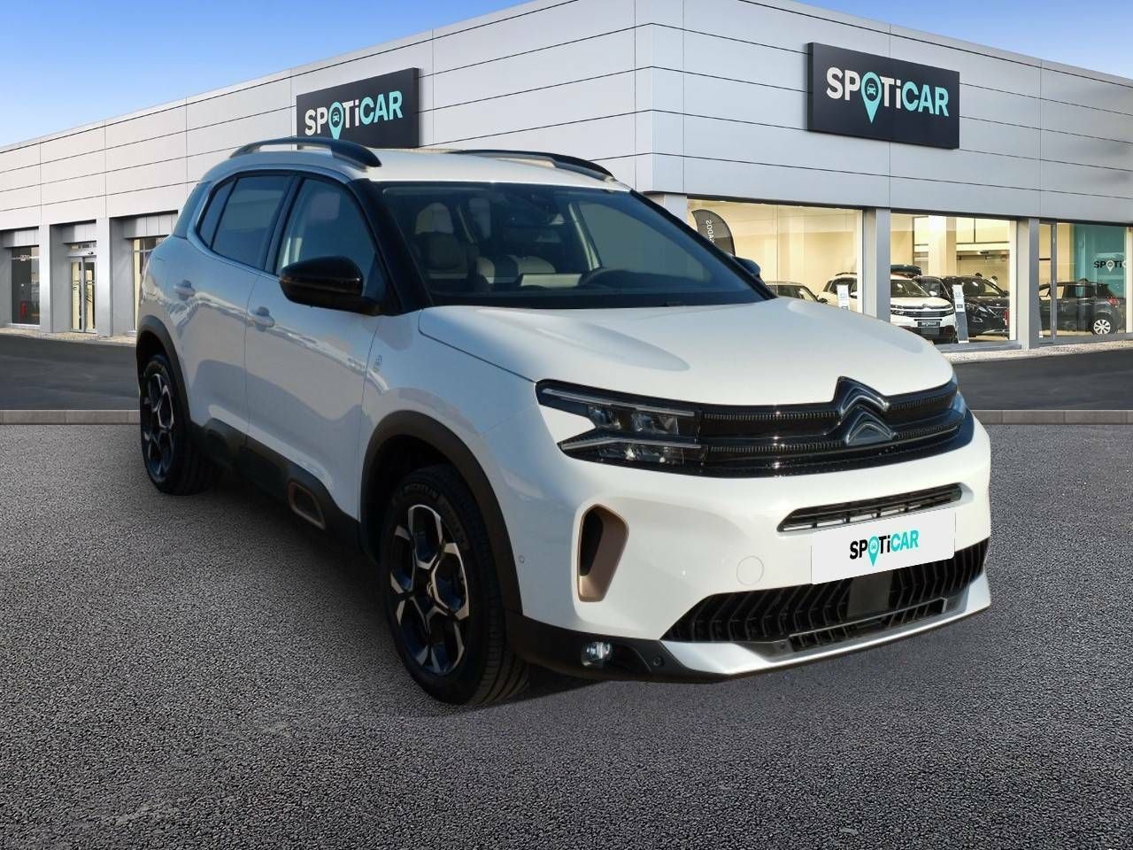 citroën c5 aircross 2024 / foto grande (3)